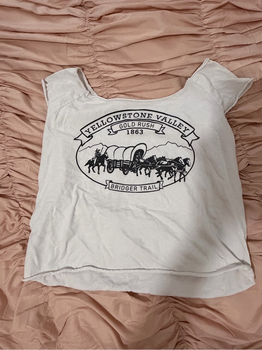 Brandy Melville Off Shoulder Top